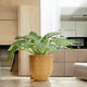 Go Hooked 18-Inch Milano Large Planter Pot | UV Resistant, Lightweight Polymer Pot for Indoor & Outdoor Plants | Stylish Decorative Pot for Balcony, Garden, Terrace & Home Decor (Brown)