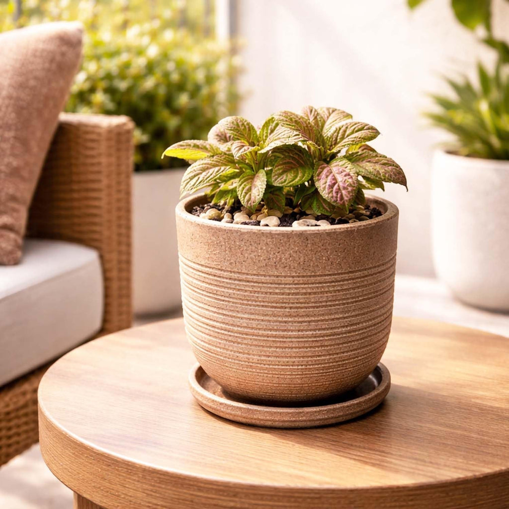 GoHooked 10 inch brown polymer planter pot with ribbed texture and matching saucer, holding a small plant.