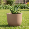 Go Hooked 20 inch brown polymer round planter with aloe vera plant on grass