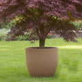 GoHooked 15-inch brown polymer round planter with a Japanese maple tree. Modern, lightweight, and durable for indoor/outdoor use.