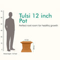GoHooked brown polymer 12-inch square Tulsi pot with Om symbol, perfect for home temple and balcony decor.