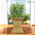 Go Hooked 16 inch traditional brown Tulsi pot planter with Om symbol, perfect for home, pooja, balcony, and garden decor.