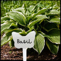 GoHooked white butterfly-shaped plant name tag with 'Basil' written on it, set of 12