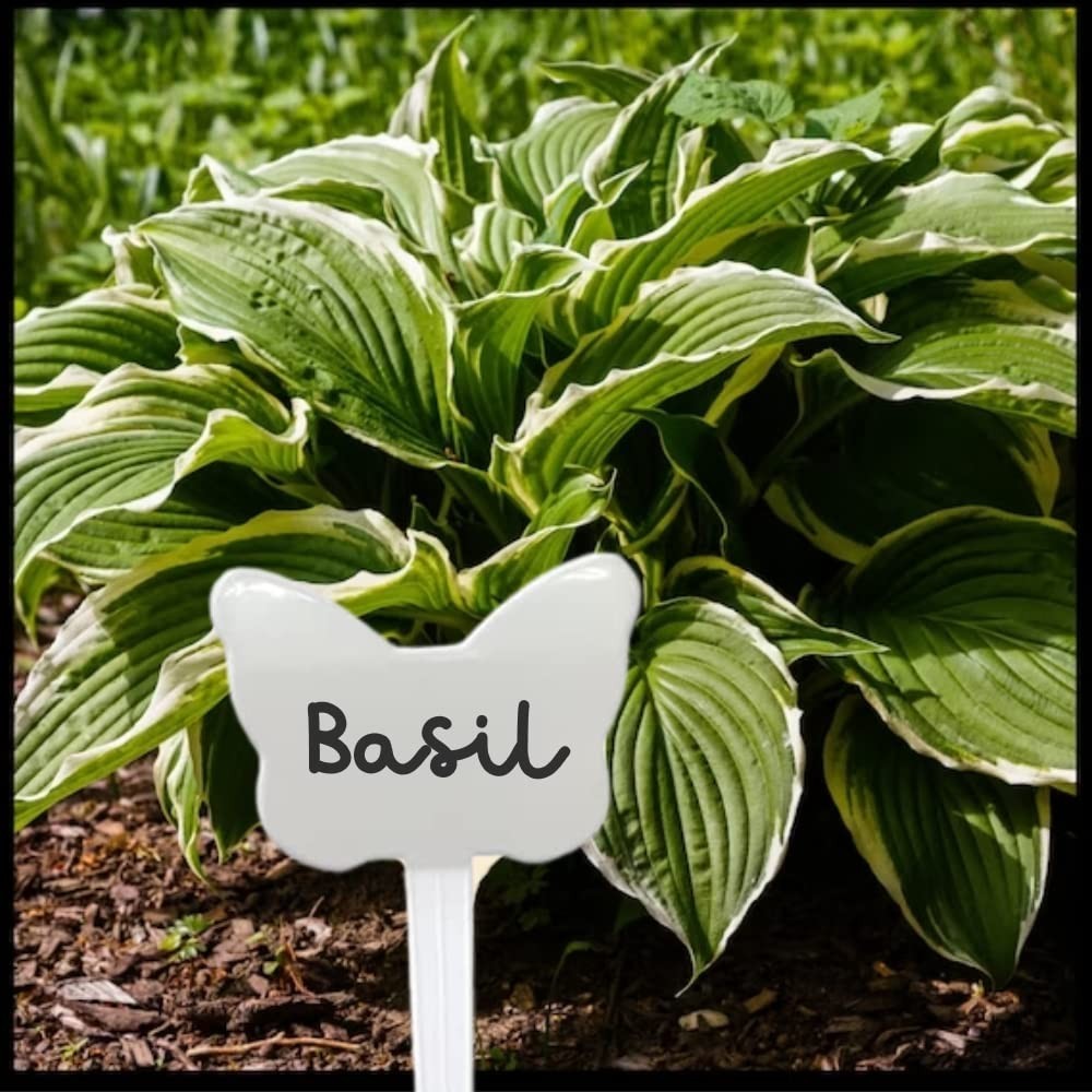 GoHooked white butterfly-shaped plant name tag with 'Basil' written on it, set of 12