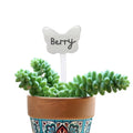 GoHooked white butterfly-shaped plant name tag with 'Berry' written on it, in a succulent plant pot.