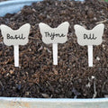 GoHooked white butterfly-shaped plant name tags for basil, thyme, and dill in soil.