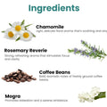 GoHooked Chamomile, Rosemary, Coffee Beans, and Mogra scented candles with aromatherapy benefits.
