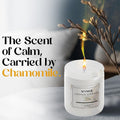 GoHooked white chamomile scented aroma candle in a glass jar, 120 gm, hand-poured for home decor and aromatherapy.