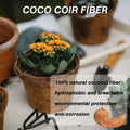 Go Hooked 4-inch biodegradable coco coir seed starter pot with orange flowering plant. Pack of 10.