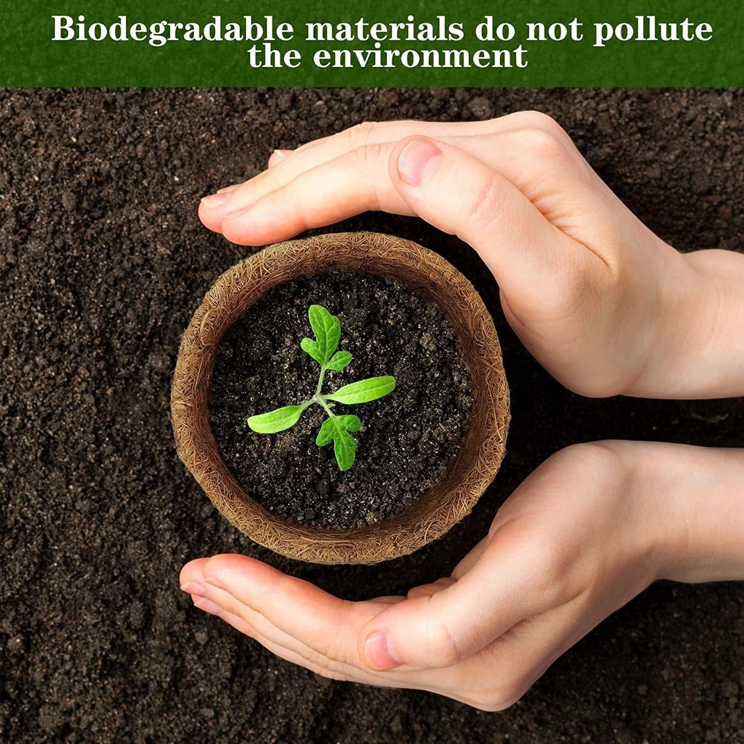 Go Hooked 4 inch biodegradable coco coir seed starter pot with a young seedling, held by hands.