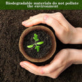 Go Hooked 4" biodegradable coco coir seed starter pot with a young plant, held by hands.