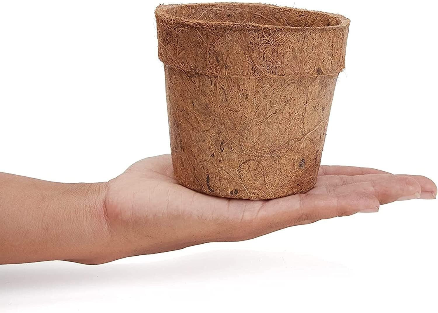 Go Hooked brown 4-inch biodegradable coco coir seed starter pot held in hand