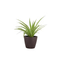 GoHooked dark brown textured plastic planter with a spider plant. 5.5 inch diameter.