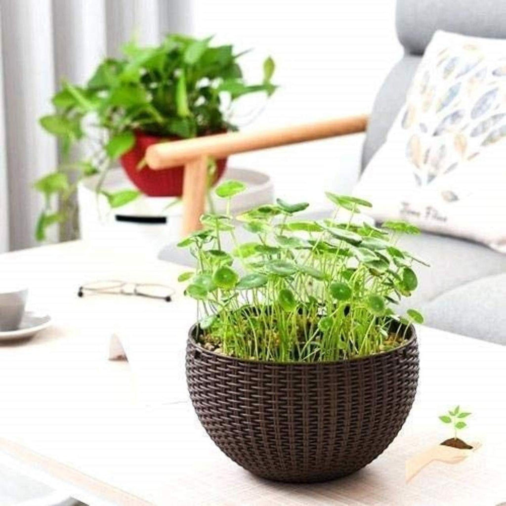 GoHooked dark brown plastic rattan hanging planter with metal chain, 7.1 inch diameter, set of 3