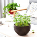 GoHooked dark brown plastic rattan hanging basket planter with metal chain. 7.1 inch diameter.