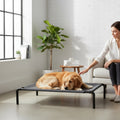 Go Hooked grey elevated pet bed with a golden retriever resting on it. A woman is gently petting the dog.