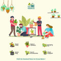 GoHooked garden tools set including pickaxe and hand hoes for home gardening and plant care.