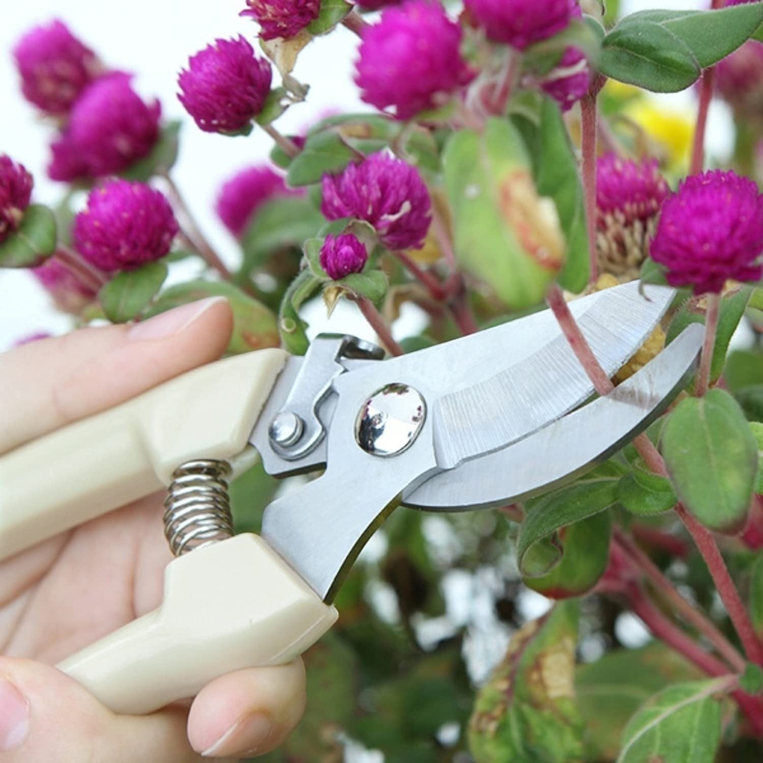 Go Hooked assorted gardening pruners with steel blades and beige ergonomic handles cutting pink flowers.