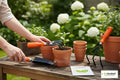 GoHooked 3-piece gardening tool set with orange handles: trowel, cultivator, and weeding fork. Metal with rust protection.