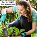 Go Hooked 4-piece metal gardening tool set with orange soft grip handles, including trowel, for indoor/outdoor plants.