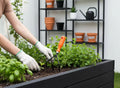 GoHooked 3-piece gardening tool set with orange handled trowel, cultivator, and weeder. Metal with powder coating and plastic handles.