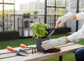 GoHooked 3-piece gardening tool set with orange handles: trowel, cultivator, and weeder. Metal with powder coating.
