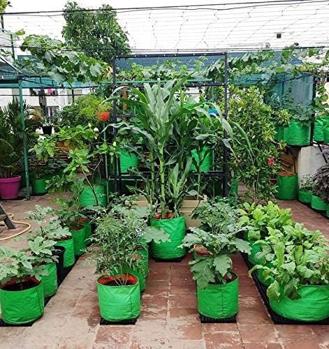 GoHooked green UV treated HDPE grow bags for terrace gardening, 18" x 18", pack of 2, holding leafy vegetables and corn.