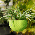 GoHooked green plastic hanging pot with woven texture, 7.1 inch diameter, holding a spider plant.