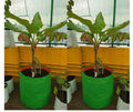 GoHooked 12" x 12" green HDPE grow bag with orange trim, ideal for terrace gardening vegetables and fruits.