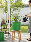 GoHooked green HDPE fabric grow bag, 12" x 12", for terrace gardening vegetables and fruits. Features rust resistance.