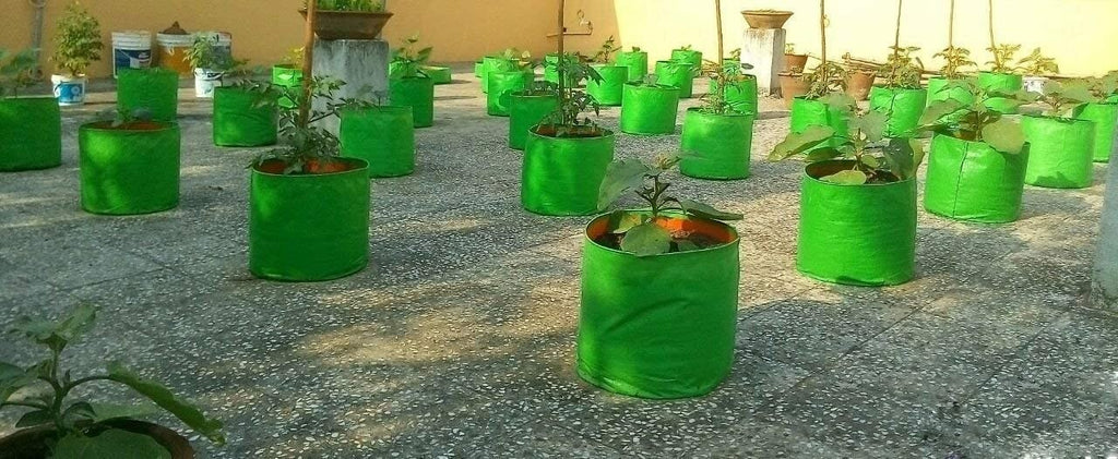 GoHooked green UV treated HDPE grow bags for terrace gardening, 9"x9", pack of 2. Ideal for leafy vegetables.