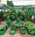 GoHooked green HDPE grow bags, 9"x9", pack of 2, for terrace gardening leafy vegetables.
