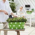 Go Hooked 12 inch green metal oval planter with white polka dots, filled with small flowering plants.