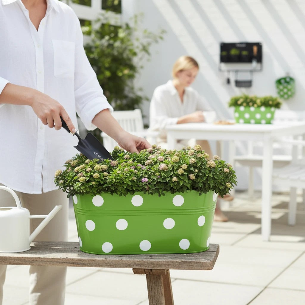 Go Hooked 12 inch green metal oval planter with white polka dots, filled with small flowering plants.