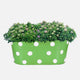 Go Hooked Metal Hanging Planter | Metal Railing Planter (12 Inch, Green)