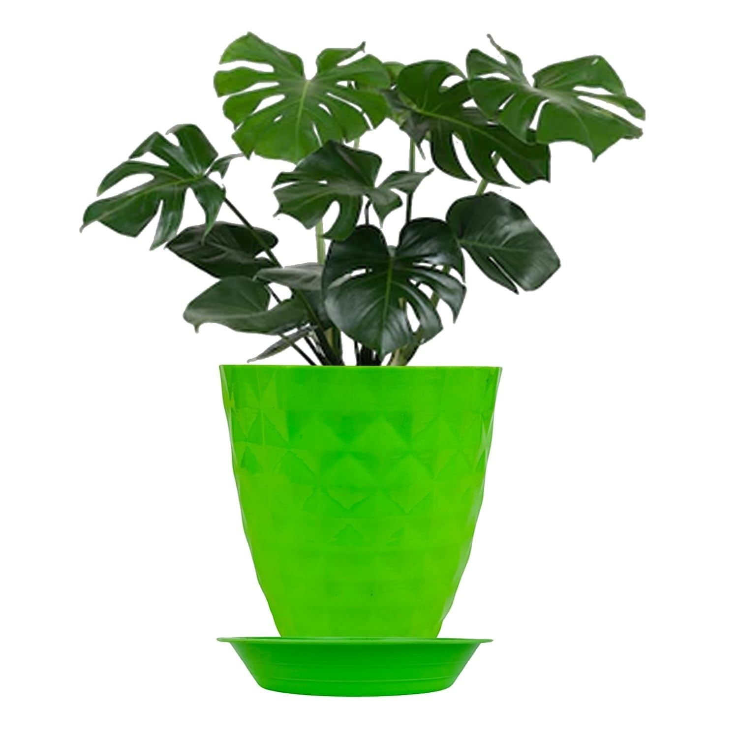 GoHooked vibrant green geometric plastic flower pot with matching drip tray, holding a Monstera plant.