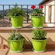 Go HookedPlastic Duro Flower Pot for Gardening, Indoor/Outdoor Planter-Green (8 Inch)(Pack of 4 with Tray)