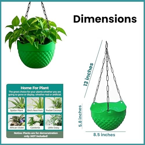 GoHooked green plastic hanging planter with metal chain, 8.5 inch diameter, 5.8 inch height.