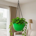 GoHooked green plastic hanging planter with diamond pattern and metal chain, holding a lush green plant.