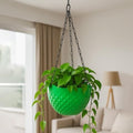 Go Hooked green diamond-patterned plastic hanging planter with a metal chain, filled with lush green plants.