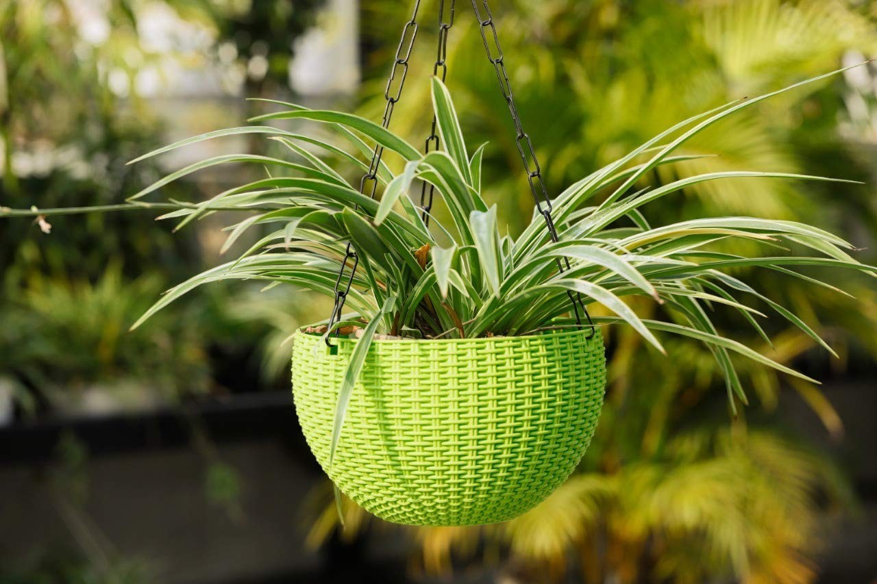 GoHooked green plastic hanging planter with woven texture, holding a spider plant.
