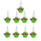 Go Hooked Pots | Plastic | Hanging Pot | Green | Pot Diameter- 7.1 Inch | Pot Height-4.8 Inch | Pot Thickness-3 mm | Chain Length-13 inch Approx. | 9 Pieces