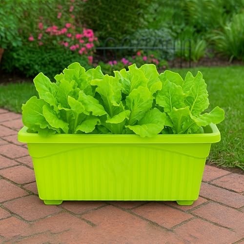 GoHooked rectangular green plastic plant pot filled with vibrant green lettuce, set on a brick pathway with a garden background.