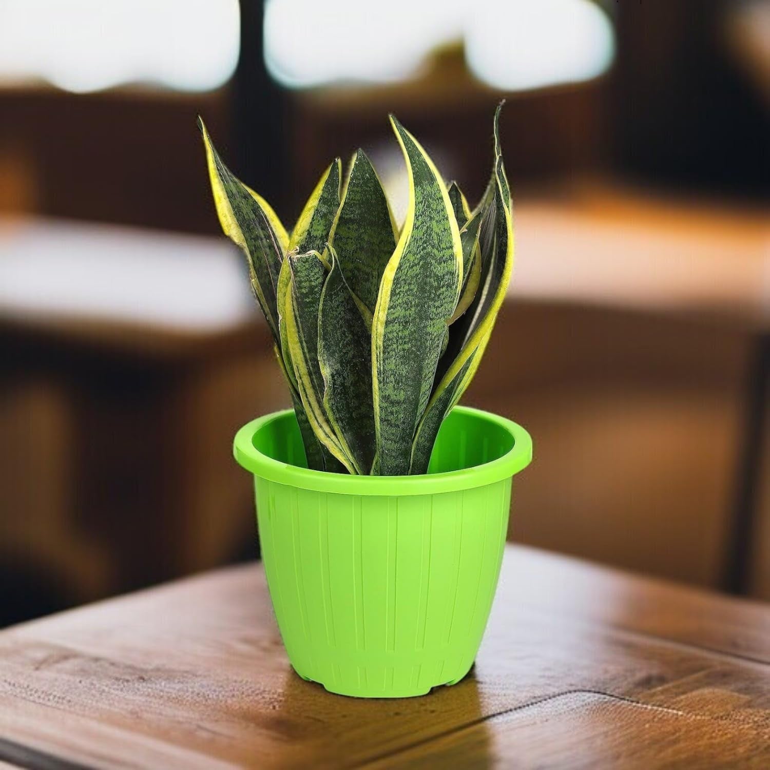 GoHooked 10-inch round green plastic planter pot with vertical ribbed texture, holding a snake plant.
