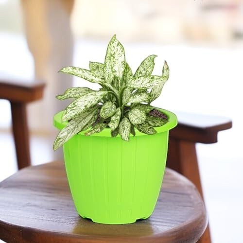 GoHooked 10 inch bright green plastic planter pot with vertical ribbed texture, holding a variegated plant.