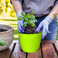 GoHooked green plastic planter pot with ribbed design, 8 inch, for indoor/outdoor gardening.