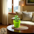 Go Hooked green plastic planter with a small plant, perfect for patios or indoor decor.