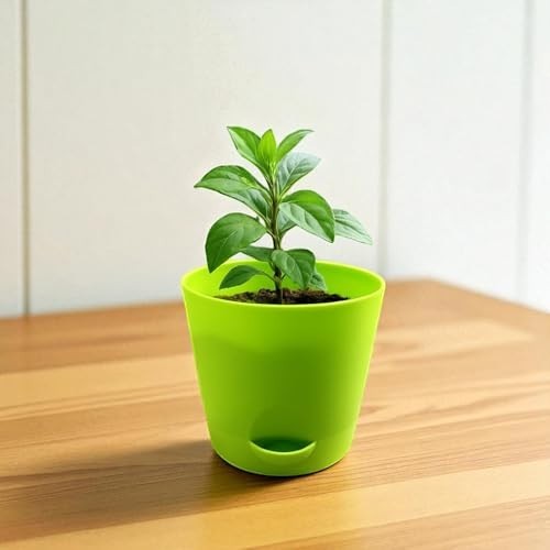 GoHooked green plastic planter pot with a small plant, perfect for patios and balconies.