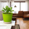 GoHooked green plastic planter pot with tray, 8 inch, durable and UV stabilized for indoor/outdoor gardening.