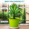 GoHooked green plastic planter pot with tray, 8 inch, for indoor/outdoor gardening. Lightweight, UV-resistant, cost-effective.